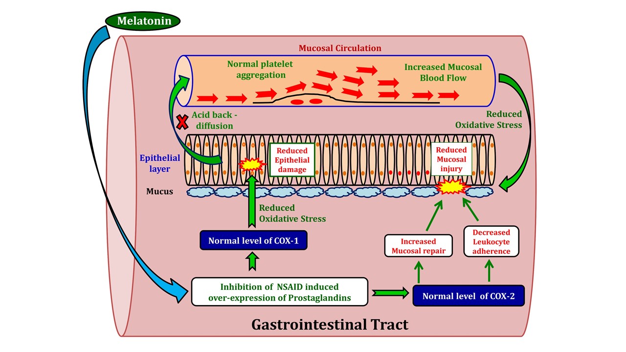 Non-steroidal anti-inflammatory drugs